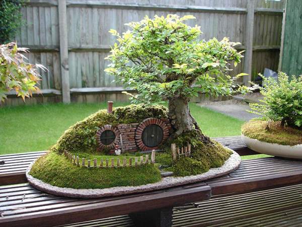 15 cây bonsai siêu độc "có tiền mua cũng chẳng được" 42