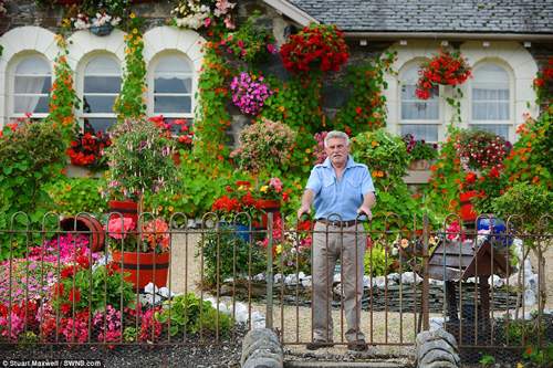 Mê mẩn vườn nhà đẹp như thiên đường của ông cụ 75 tuổi 39