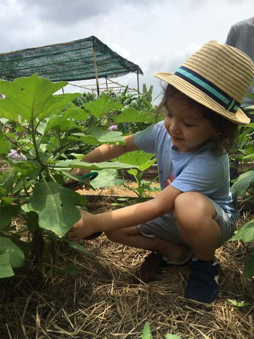 Hai con Hồng Nhung thích thú khám phá công việc làm vườn 3