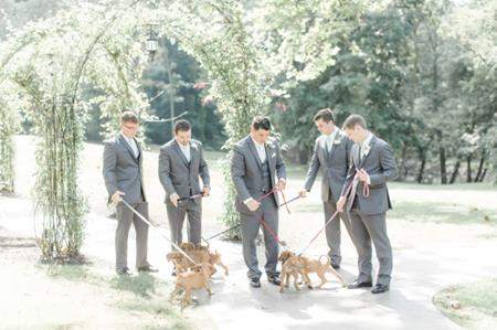 Đám cưới đầy cún con của cặp đôi yêu động vật 7