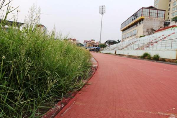 Cảnh “hoang tàn” trong sân bóng đá trăm tỷ ở Ninh Bình 8
