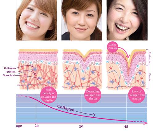 Collagen: Dùng nhiều sao vẫn kém hiệu quả?. 6