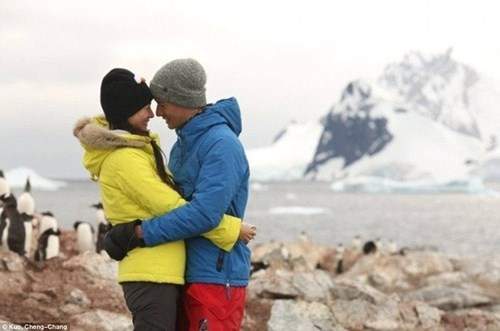 Cặp đôi đến Nam Cực làm đám cưới cùng chim cánh cụt 8