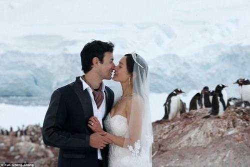 Cặp đôi đến Nam Cực làm đám cưới cùng chim cánh cụt 3