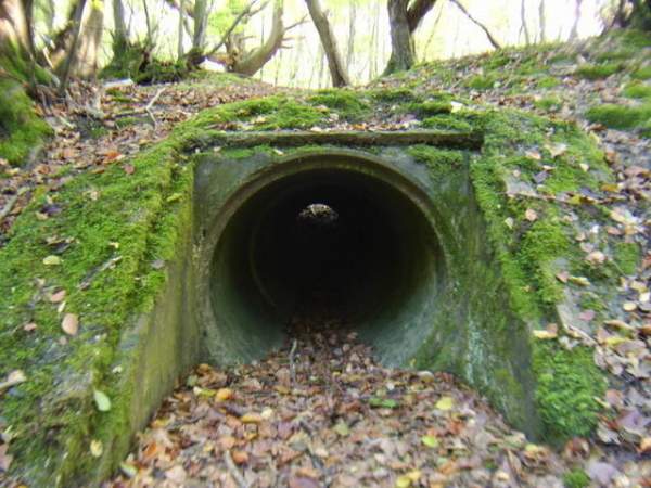 Những đường hầm bí ẩn trong rừng Anh quốc 2