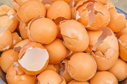 Ăn xong đừng vứt bỏ, nướng vỏ trứng lên bạn sẽ thấy ngay tác dụng diệu kỳ 3