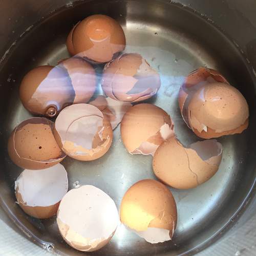 Ăn xong đừng vứt bỏ, nướng vỏ trứng lên bạn sẽ thấy ngay tác dụng diệu kỳ 6