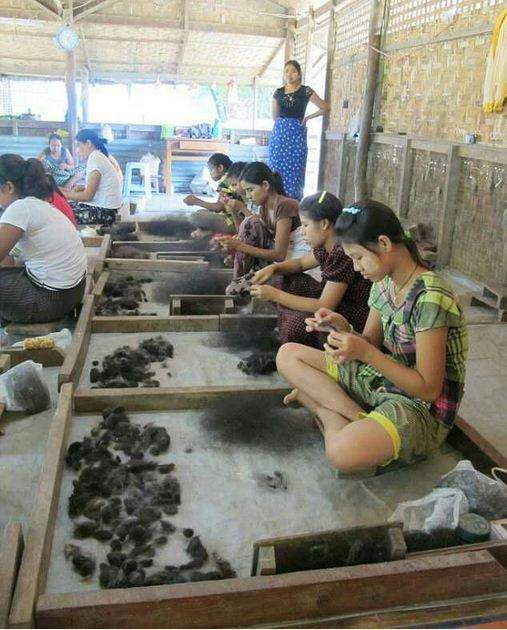 Bí mật đằng sau ngành công nghiệp "vàng đen" chế tạo tóc giả ( phần 2) 6