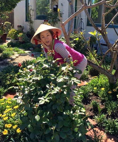 Ngưỡng mộ 3 sao nữ Việt có vườn nhà bên Mỹ vừa rộng vừa nhiều rau củ, hoa trái 36