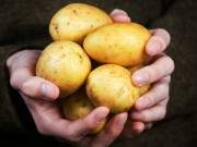Bạn sẽ không bao giờ vứt bỏ vỏ khoai tây nữa nếu biết công dụng của nó 11