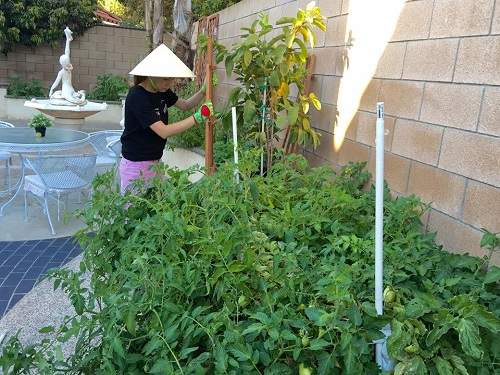 "Búp bê" Thanh Thảo đội nón lá, giản dị làm vườn trong biệt thự hạng sang tại Mỹ 27