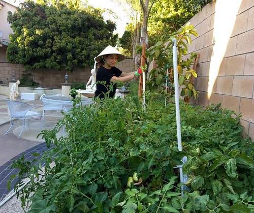 "Búp bê" Thanh Thảo đội nón lá, giản dị làm vườn trong biệt thự hạng sang tại Mỹ 24