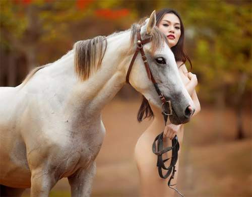 "Người đẹp nude bên ngựa" trần tình việc bị cẩu xe về phường 4