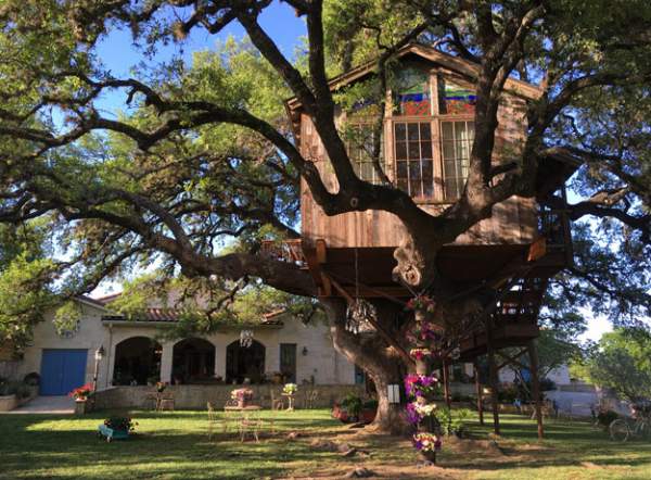 Vì sao ngôi nhà trên cây 450 tuổi, bé như "tổ chim" lại khiến nhiều người mê mẩn? 3