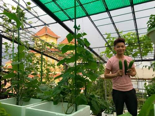 Thích mê những vườn rau sân thượng của sao Việt dù bận rộn trăm bề 15