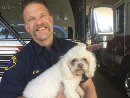Hành động kỳ lạ của người lính cứu hỏa với chú chó hấp hối trong đám cháy khiến người xem bật khóc 24