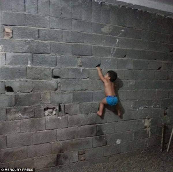 Bé trai 3 tuổi Iran trèo tường, đu xà như “người nhện” 4