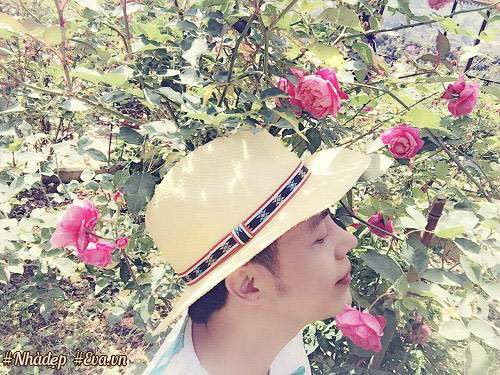 Choáng ngợp vườn hồng sân thượng tuyệt đẹp của chuyên gia trang điểm nổi tiếng Vũng Tàu 3