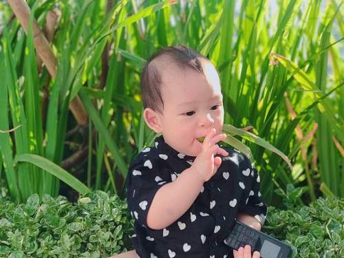 Cóc, quất trong vườn trĩu quả, cậu út nhà Lý Hải Minh Hà ăn thử "ê răng" khiến dân mạng phát sốt 9