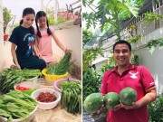 Cóc, quất trong vườn trĩu quả, cậu út nhà Lý Hải Minh Hà ăn thử "ê răng" khiến dân mạng phát sốt 44