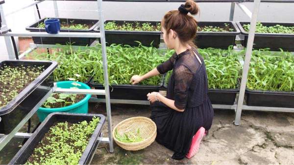 Vườn rau sạch "vạn người mê" của ba người đẹp "nóng bỏng" nhất showbiz Việt 9
