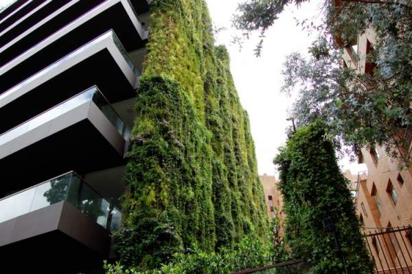 Khu vườn thẳng đứng "ngoạn mục" nhất thế giới, che phủ 11 tầng nhà 9