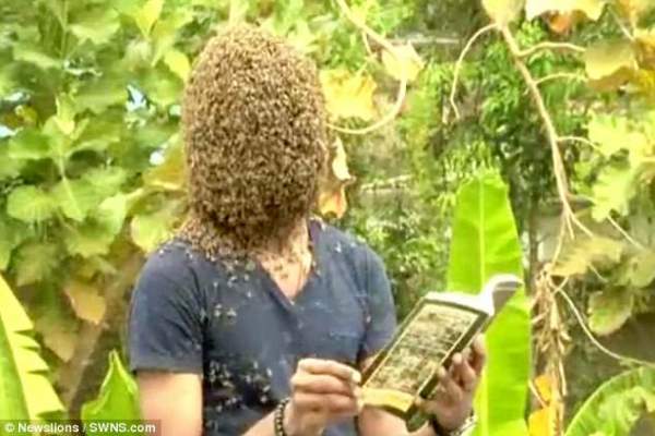 Để 60.000 con ong bâu kín mặt “cho dễ chịu”
