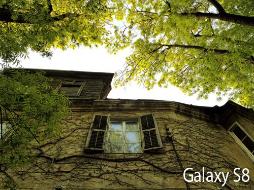 Máy ảnh chuyên nghiệp cũng “ngán ngẩm” với tài chụp hình của Galaxy S8 6