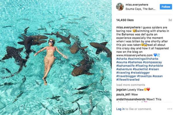 Cô gái Đức mặc bikini hối hận vì chụp ảnh cùng đàn cá mập 2