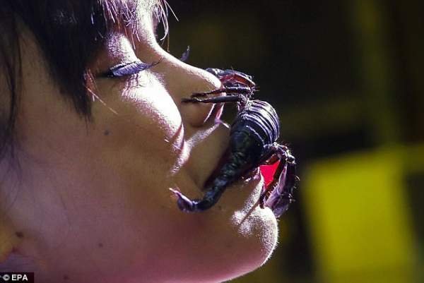 Cô gái Thái Lan để chục con bọ cạp cực độc bò trên mặt 4