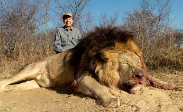 Đàn sư tử châu Phi tàn sát 1.500 người đẫm máu nhất lịch sử 4