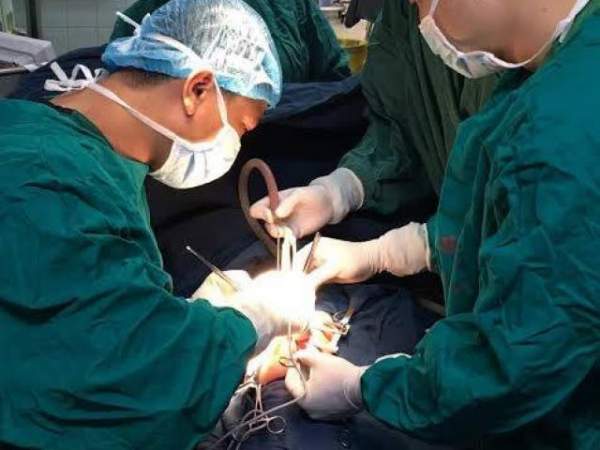 Phẫu thuật lấy khối u to bằng trái tim trong lồng ngực 2