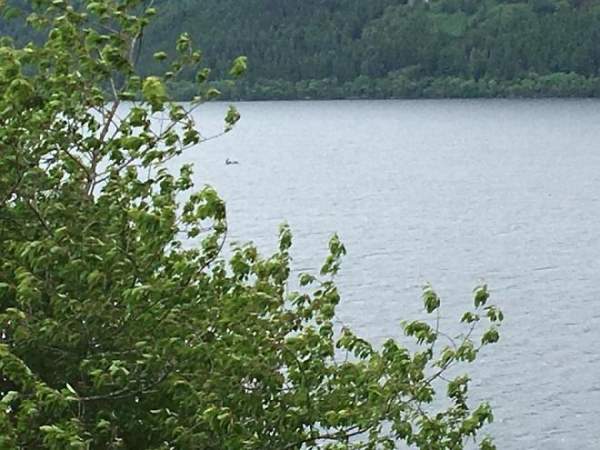Phát hiện “quái vật hồ Loch Ness” di chuyển nhanh, xuôi dòng nước?