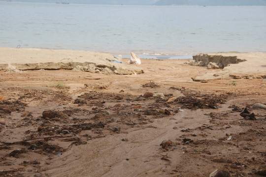 Công trình 40 móng biệt thự ở Sơn Trà đẩy bùn đất xuống biển 3