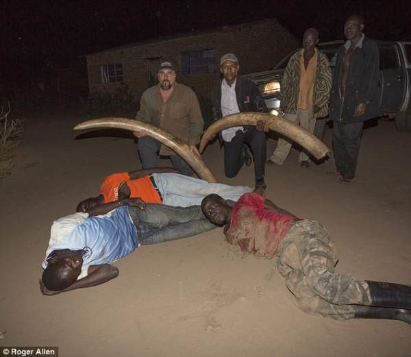 Trùm săn ngà voi châu Phi gọi mẹ "cứu” khi bị bắt 2