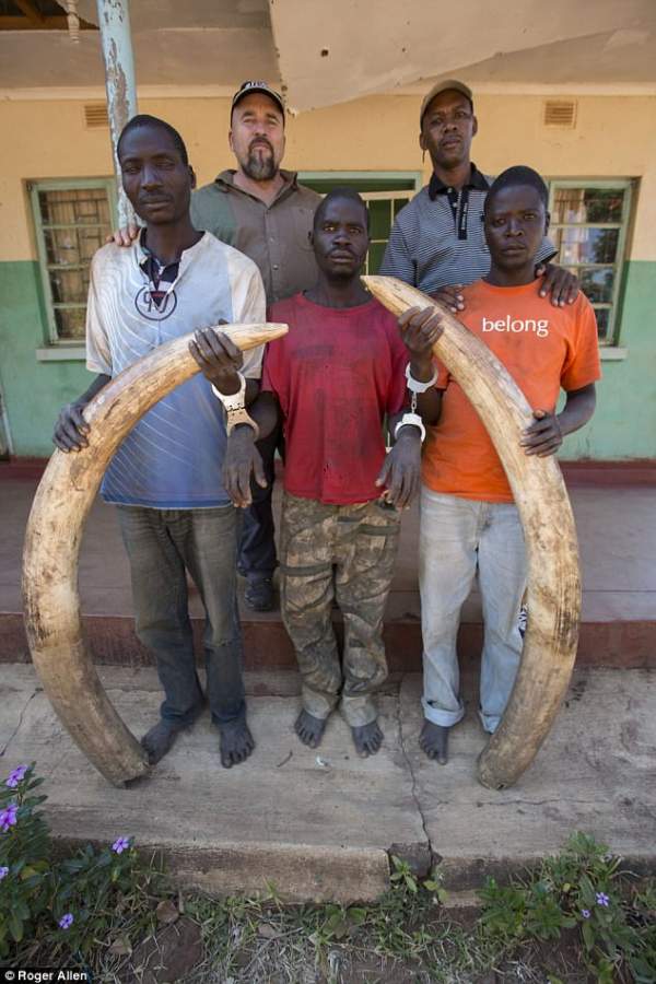 Trùm săn ngà voi châu Phi gọi mẹ "cứu” khi bị bắt 3