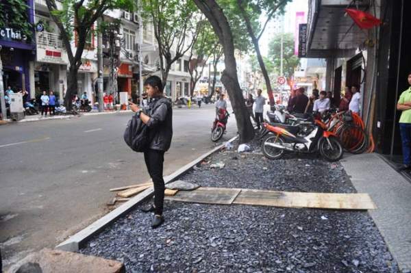 Cây xanh liên tục bật gốc ở Sài Gòn: Lỗi tại "ông Trời" 8