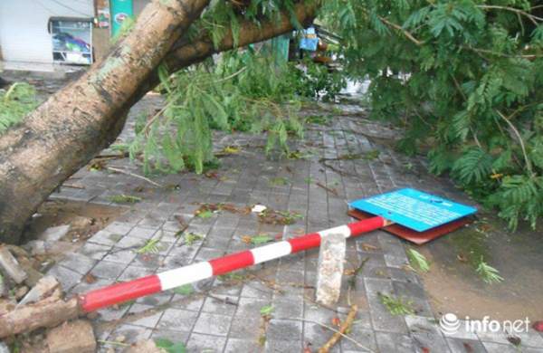 Ảnh: Hà Tĩnh, Nghệ An, Thanh Hóa tan hoang sau bão số 2 18