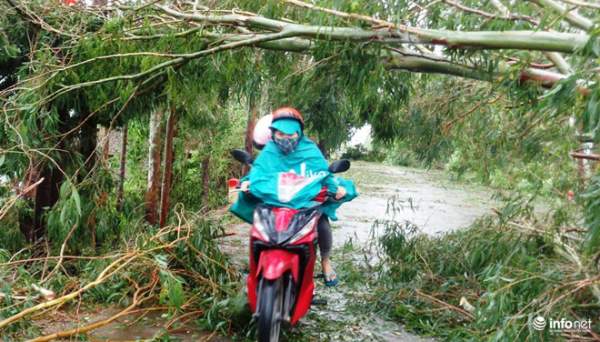 Ảnh: Hà Tĩnh, Nghệ An, Thanh Hóa tan hoang sau bão số 2 11