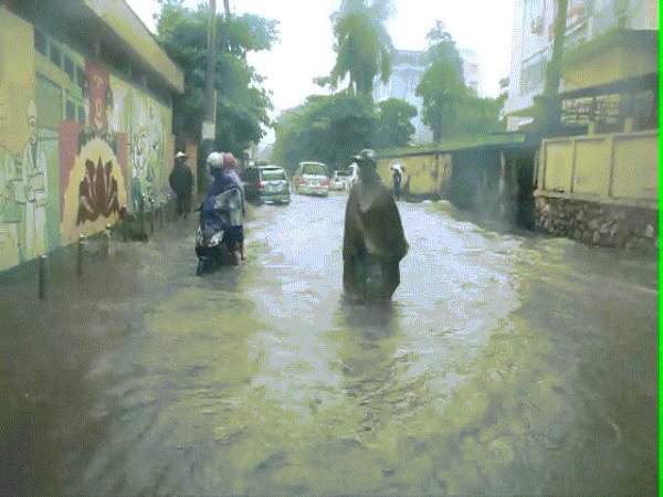 Nước ngập ngang bụng, dân Thủ đô bỏ xe lội nước về nhà 17