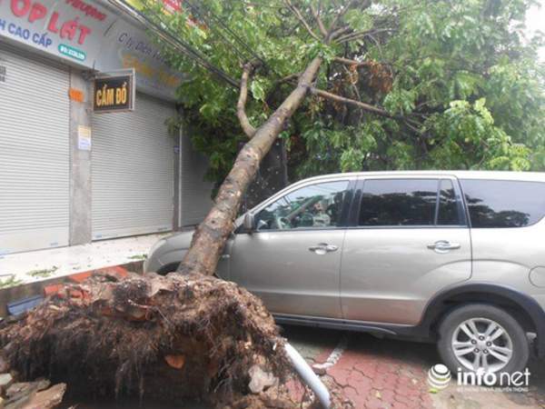 Ảnh: Hà Tĩnh, Nghệ An, Thanh Hóa tan hoang sau bão số 2 17