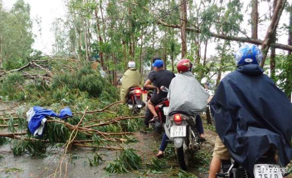 Ảnh: Hà Tĩnh, Nghệ An, Thanh Hóa tan hoang sau bão số 2 9