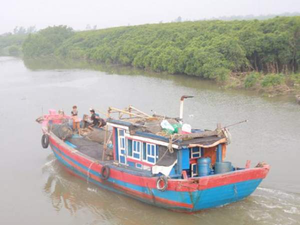 Quảng Bình: Hàng chục tàu cá bị chìm, nhiều người bị thương 2