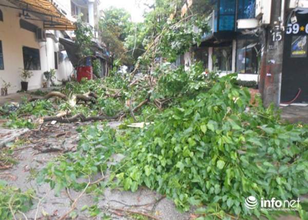 Ảnh: Hà Tĩnh, Nghệ An, Thanh Hóa tan hoang sau bão số 2 16