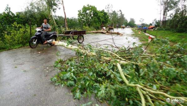 Ảnh: Hà Tĩnh, Nghệ An, Thanh Hóa tan hoang sau bão số 2 7