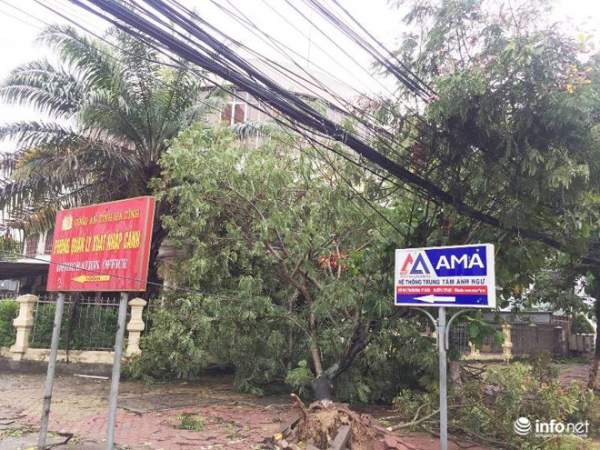 Ảnh: Hà Tĩnh, Nghệ An, Thanh Hóa tan hoang sau bão số 2 6