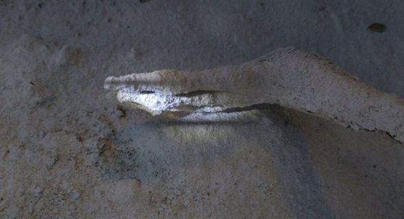 Bên trong hầm mộ chứa xác ướp “người ngoài hành tinh” ở Peru 3