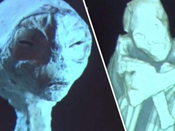 Xác “người ngoài hành tinh” bên trong hầm mộ Peru đang mang thai? 4