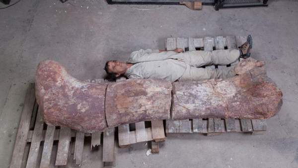 Quái vật 69 tấn khủng khiếp nhất từng tồn tại trên Trái đất 2