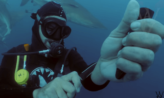Thợ lặn Mỹ cắt tay trước đàn cá mập xem có bị ăn thịt